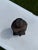 Vintage Asian Bronze Buddha Head on Wood Pedestal For Sale - Image 11 of 12