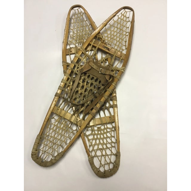 Cabin Snow Shoes 1960s Cabin Décor Bear Paws D- a Pair For Sale - Image 3 of 10
