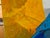 ”Jays Today” a Bird Painting by LWren Walraven For Sale In Santa Fe - Image 6 of 10