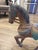 Wood 1980s Carved Wood Horse For Sale - Image 7 of 12