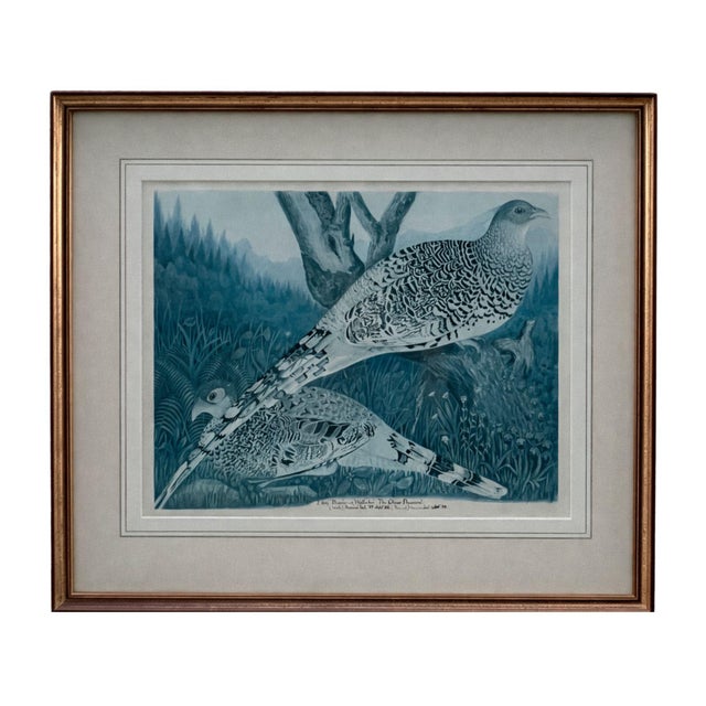 Vintage Framed Watercolor Lithographs of Spurfowl & Pheasants, Set of 2 For Sale - Image 4 of 11