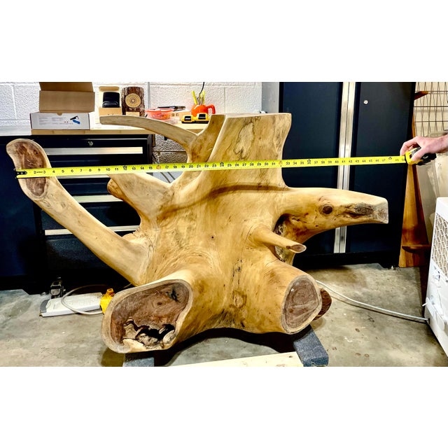 Wood Beautiful Monkey Pod Root Slab/Table For Sale - Image 7 of 8