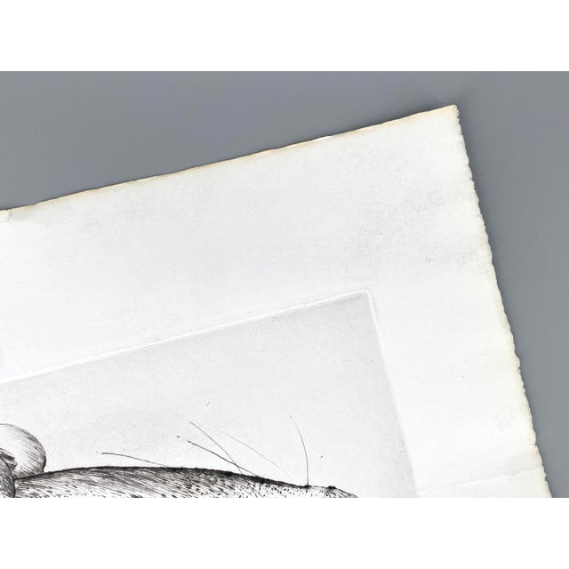 Günter Grass, The Other Damroka, 1985, Signed and Numbered Etching For Sale - Image 9 of 16