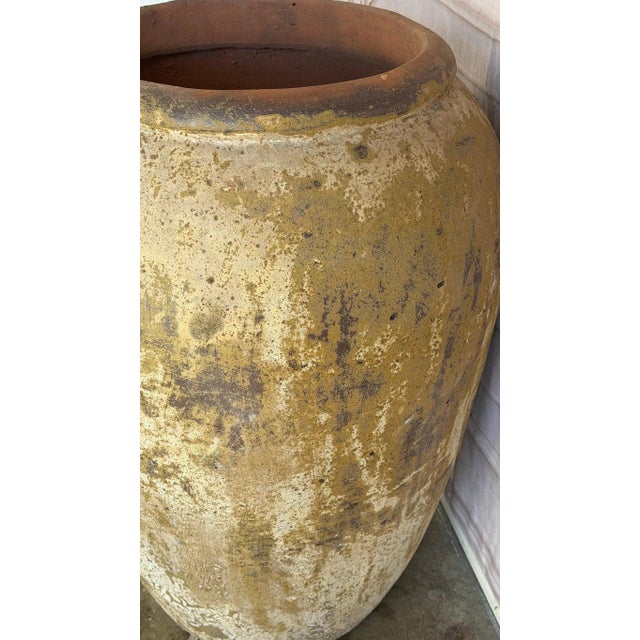 Mediterranean Mustard Colored Olive Jar, Terracotta, Rustic For Sale - Image 10 of 10