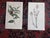 Authentic Antique Early 19th Century Hand Colored Copperplate Botanical Engravings - Set of 9 For Sale In Cincinnati - Image 6 of 8