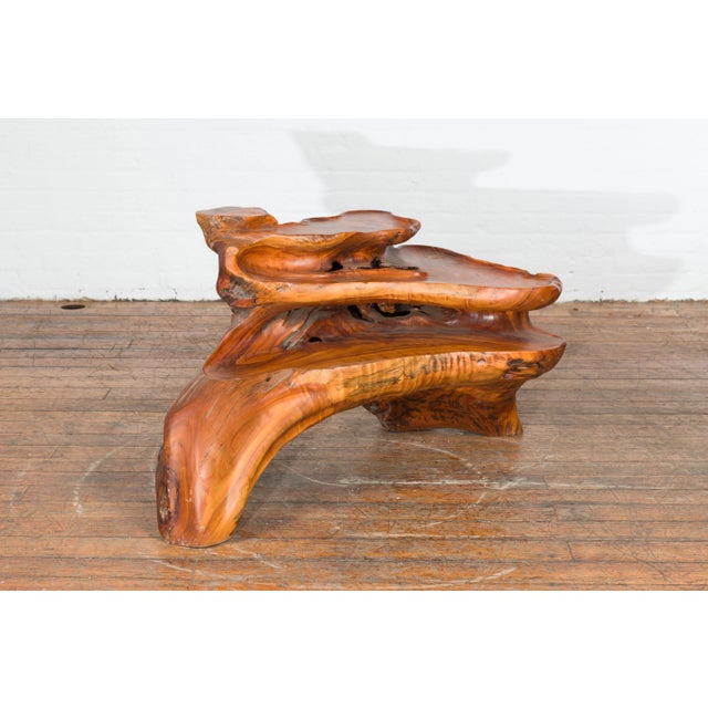Indonesian 20th Century Lacquered Root Stand Drilled to Work as a Fountain For Sale - Image 11 of 13