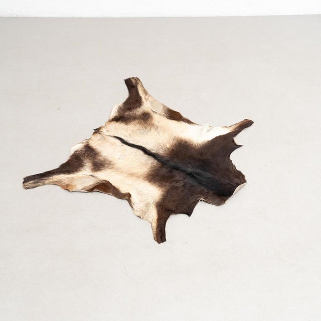 Goat Leather Rug, 1940s For Sale - Image 3 of 13