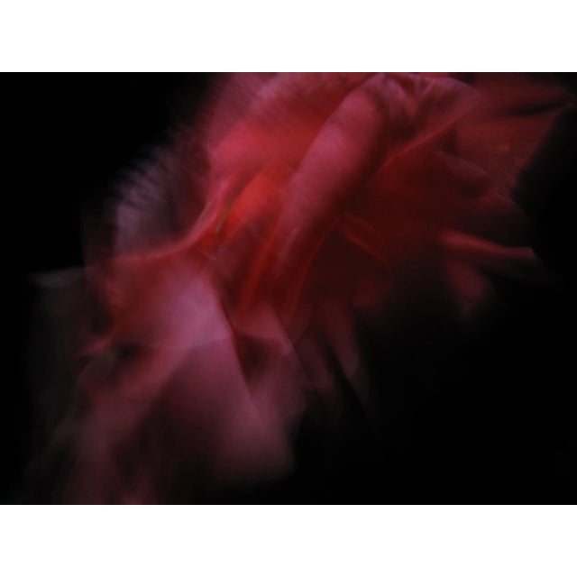 Contemporary Abstract Fine Art Flower Photography Print For Sale