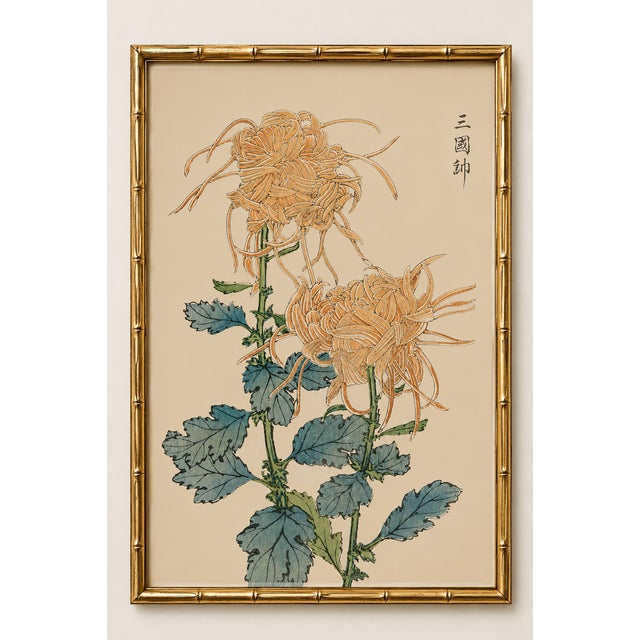 Spider Chrysanthemum Pair by Hasegawa Japanese Botanical Art Print, 8" X 12" For Sale In Buffalo - Image 6 of 8