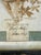 Vintage Herbarium, Florence, 1941 For Sale - Image 5 of 10