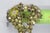 Hollycraft Floral Spring Series 1950s Metal Pin Brooch Green Rhinestones 5196b For Sale - Image 9 of 14
