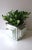 Silver Modern Mirrored Planter Cachepot Jardinière, Circa 1970s For Sale - Image 8 of 12