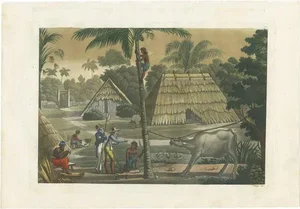 Ferrario, Timor Island Near Kupang, 1831, Print on Paper