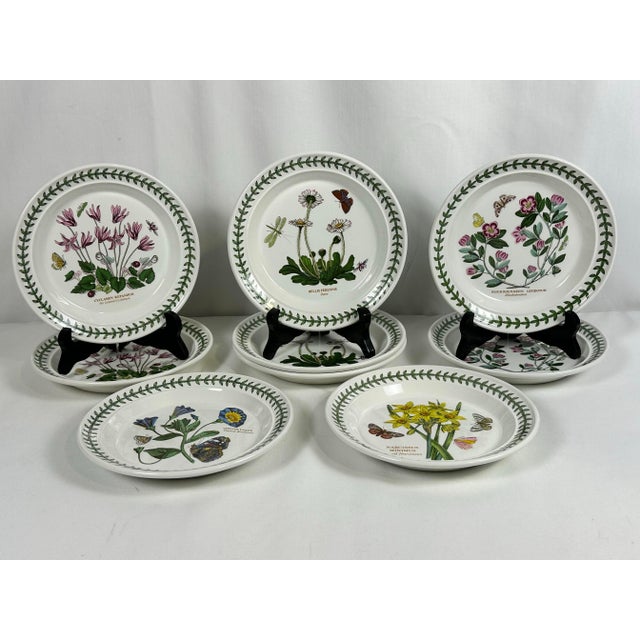 Portmeirion Botanic Garden 1972 England Bread and Butter Plates- Set of 9 For Sale