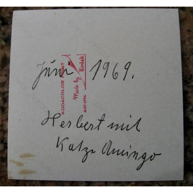 Mid-Century Modern White Wicker Chandelier For Sale - Image 12 of 13