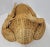 1970s Bohemian Wicker Frog Storage Basket With Glass Marble Eyes Olivier Cajon Attrib. For Sale - Image 5 of 9