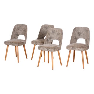 Mid-Century Ash Dining Chairs attributed to Oswald Haerdtl, 1950s, Set of 4 For Sale