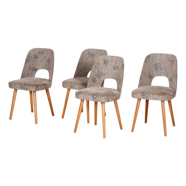 Mid-Century Ash Dining Chairs attributed to Oswald Haerdtl, 1950s, Set of 4 For Sale