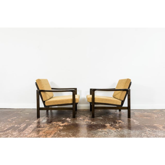Mid-Century Modern Lounge Chairs by Zenon Bączyk, Poland, 1960s, Set of 2 For Sale - Image 9 of 13