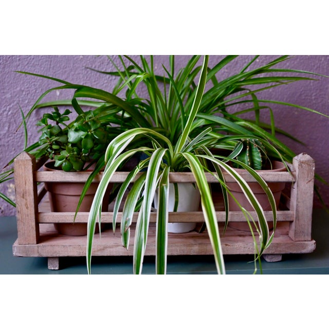 Beige Countryside Wooden Drainer, France, 1930s For Sale - Image 8 of 8