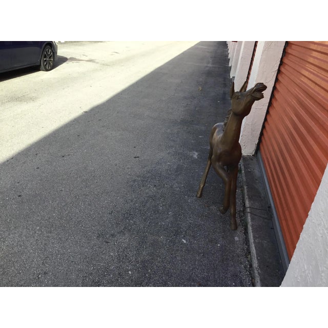 Vintage Bronze Horse Statue For Sale In Atlanta - Image 6 of 10