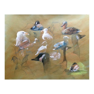 David Orrin Smith Original Plein Air Seattle Avian Drawing “Waterfowl at Greenlake” For Sale