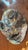 Handmade Pottery Sculptured Face, Scary Folk Art For Sale In San Diego - Image 6 of 6