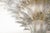 Italian Palmette chandelier with clear Murano glass leaves mounted on gold finish metal frame / Made in Italy by Fabio Ltd...