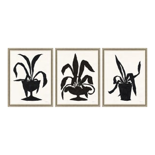 Century, Royal and Foxtail by Susan Hable For Sale