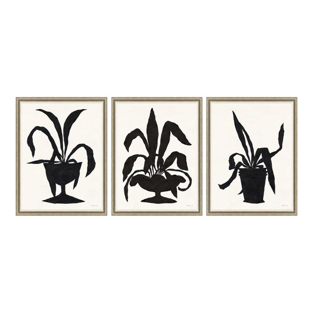 Century, Royal and Foxtail by Susan Hable For Sale