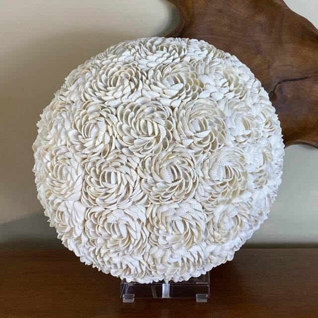 Shell Covered Orb Light Fixture on Lucite Base For Sale - Image 4 of 8