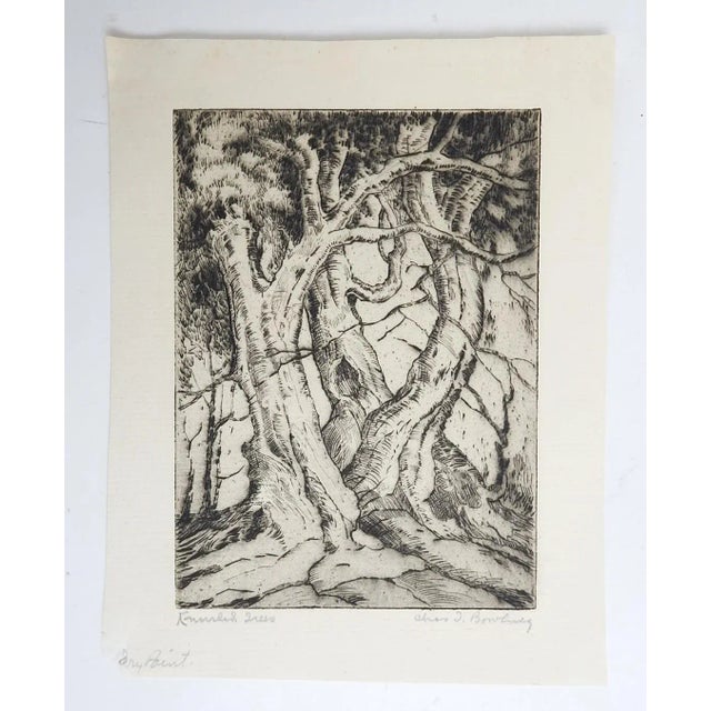 Vintage 1930s Charles Bowling Knurled Trees Dry Point Etching For Sale - Image 4 of 4