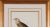 Mid 19th Century Rough-Legged Buzzard: 19th C. Hand-Colored Lithograph by J. Gould & Edward Lear, 1862-1873 For Sale - Image 5 of 5