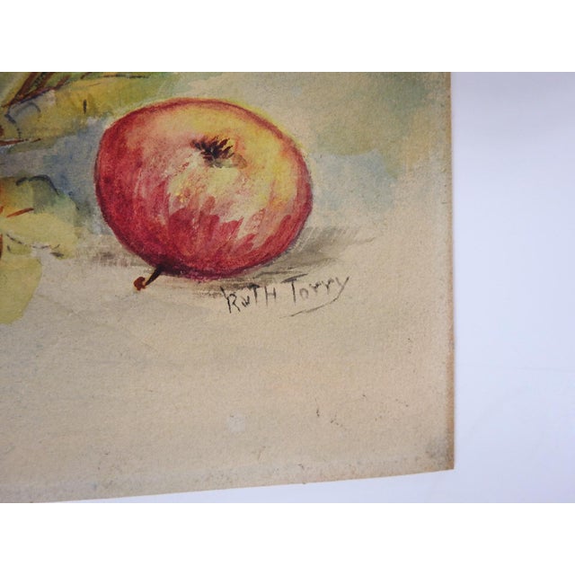Early 20th century watercolor on artist board still life painting of apples. Signed Ruth Torry lower right. Unframed, age...