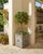 Vintage French Orangerie Style Galvanized Zinc Square Planter Box For Sale - Image 10 of 12