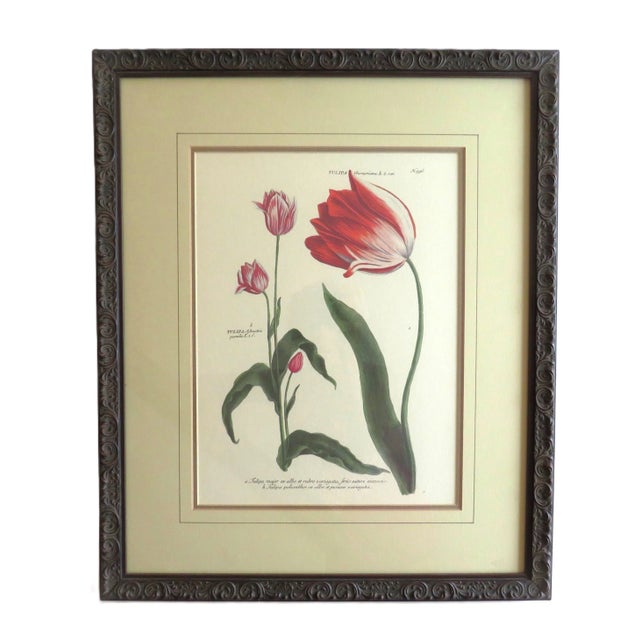 FREE SHIPPING ANYWHERE IN THE CONTINENTAL US! This is a set of 3 gorgeous vintage botanical lithographs. Beautifully...
