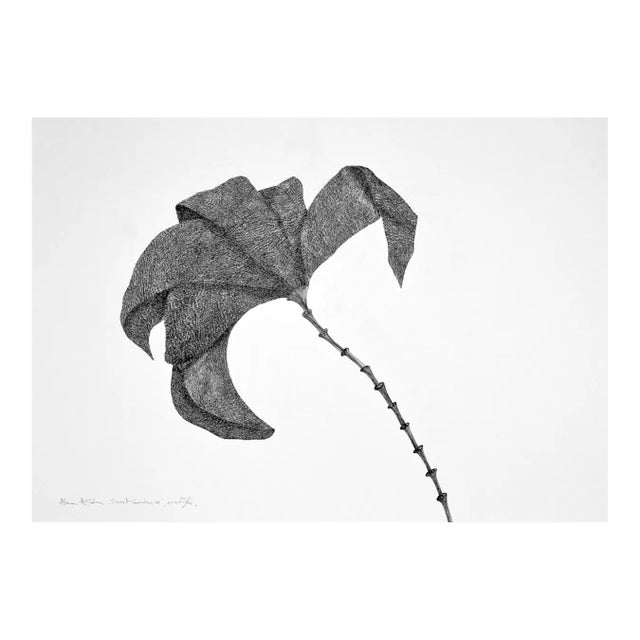 Secret Garden 18 by Alina Aldea For Sale