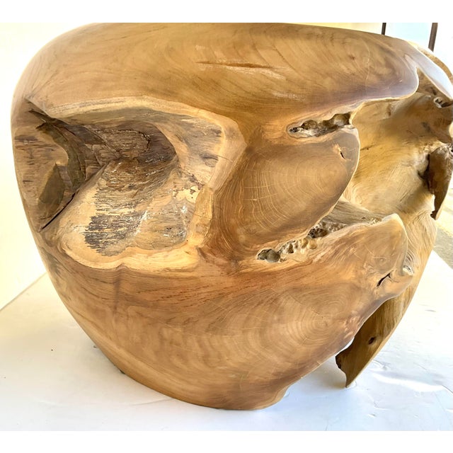Organic Modern Indoor/Outdoor Teak Rootball Sola Side Table For Sale In Atlanta - Image 6 of 6