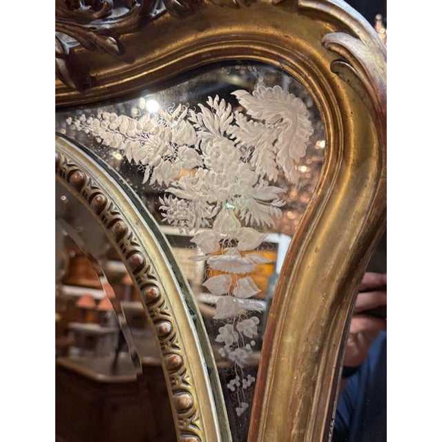 French Louis XV Giltwood Etched Mirror For Sale - Image 4 of 7