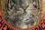 Neat Large Antique Tiger Chewing Tobacco Tin Country Store Advertising Display Can Americana Tobacciana General Store Home Decor For Sale - Image 4 of 16