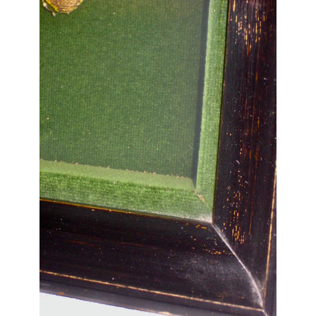 Early 19th Century Napoleon I Embroidered Gold Bee Frame For Sale - Image 4 of 7
