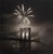 A 1983 photograph by the American photographer Bruce Cratsley (1944-1998). Titled "Centennial Fireworks, Brooklyn Bridge,"...