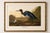 Not Yet Made - Made To Order Blue Crane or Heron, 1827 – John James Audubon Vintage Bird Art Print, 24" X 16" For Sale - Image 5 of 10