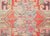 Early 20th Century Central Asian Khotan Rug For Sale - Image 4 of 13