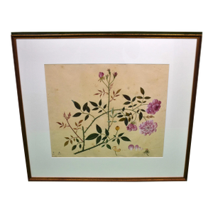 Monthly Rose Chinese Hand-Watercolour 19thc Painting