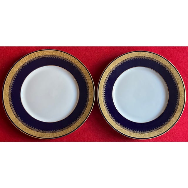 Mid 20th Century German Cobalt Blue and White Porcelain Dinner Plates With Gold Rims by Hohenberg Ware Hutschenreuther Bavaria - Set of 12 For Sale - Image 5 of 14