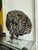 1960s 1960's Brutalist Owl Metal Figurine C Jere Bustamante Style For Sale - Image 5 of 5