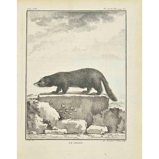 Madeleine Ruosselet, Le Caose, Etching, 1771 For Sale