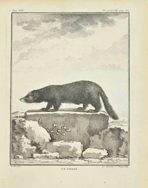 Madeleine Ruosselet, Le Caose, Etching, 1771