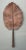 Mid-Century Modern Vintage Copper Botanical Wall Art For Sale - Image 3 of 12